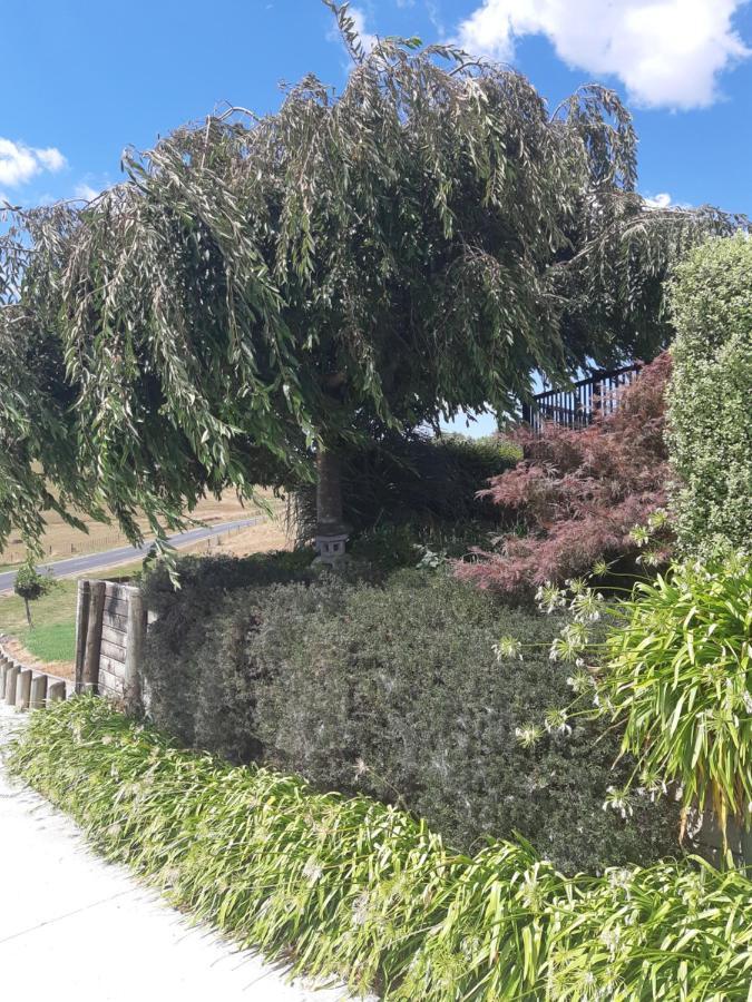 The End Lounge B&B Otorohanga Exterior foto